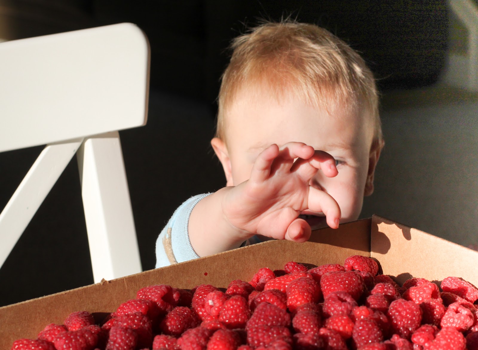 a little jordan family blog Freezing Berries in Baby Food Jars