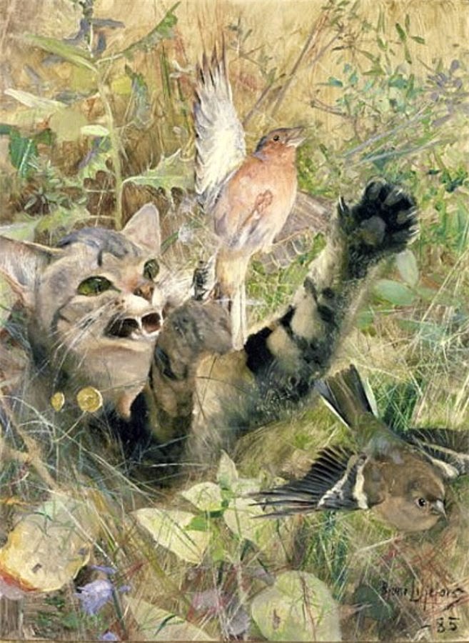 Коты в живописи шведского анималиста Бруно Лильефорса
