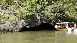 MANGROVE TOUR