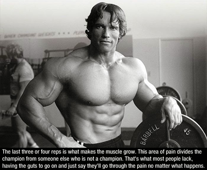 Arnold Schwarzenegger Funny Quotes. QuotesGram