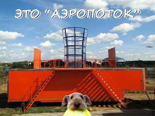 м. Молодежная