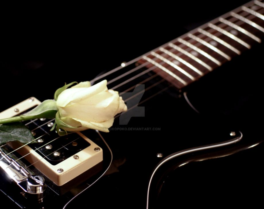 White rose on black guitar by kokopoko on DeviantArt White rose on black guitar by kokopoko on DeviantArt
