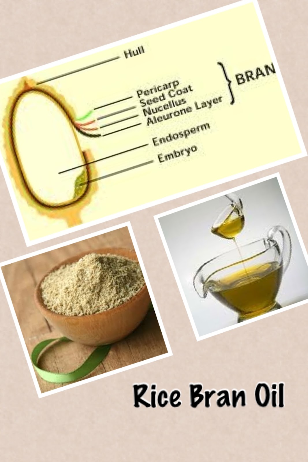 From Divya's Kitchen Rice Bran Oil For Well Being