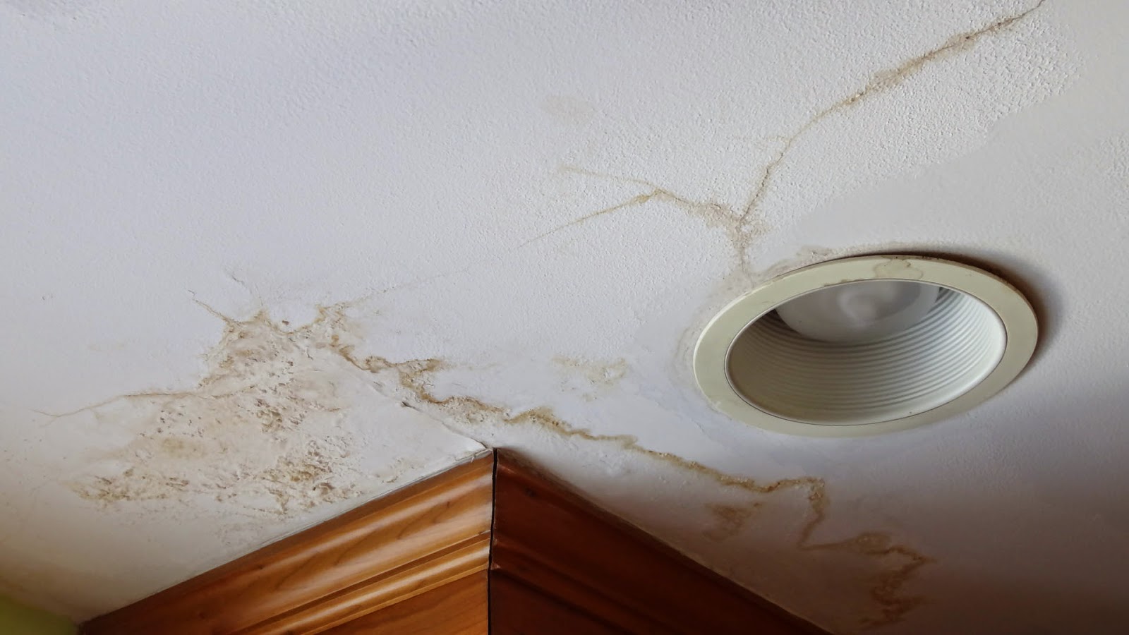 Ceiling Repair Leaking Ceiling Repair Cost