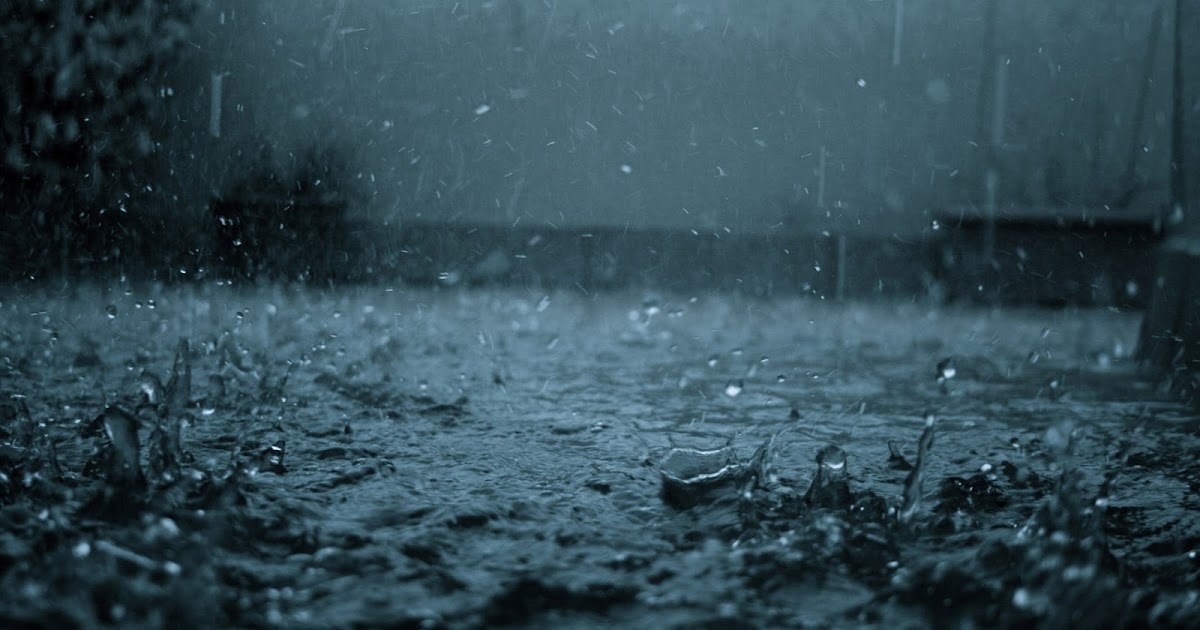 Pyaari Si Zindagi - 11