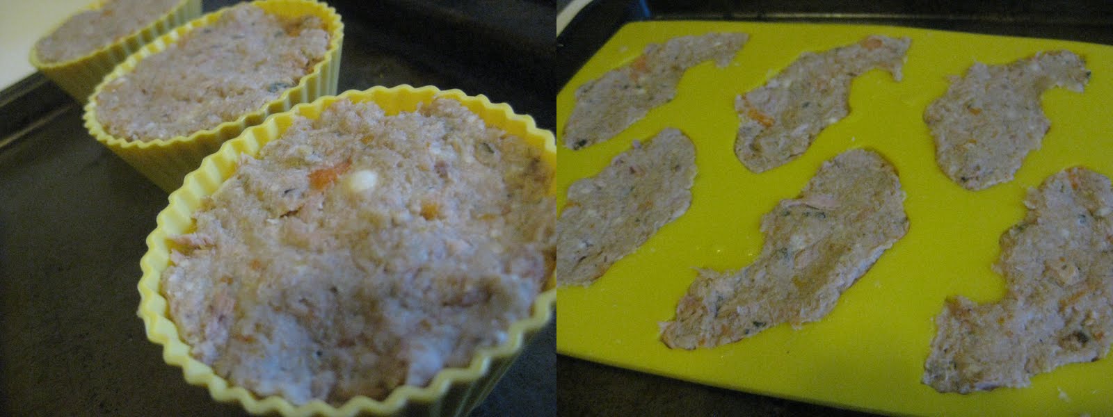 Raymond's Kitchen From Grandma's To Ours Kitty's Fish Cakes (For Cats!)