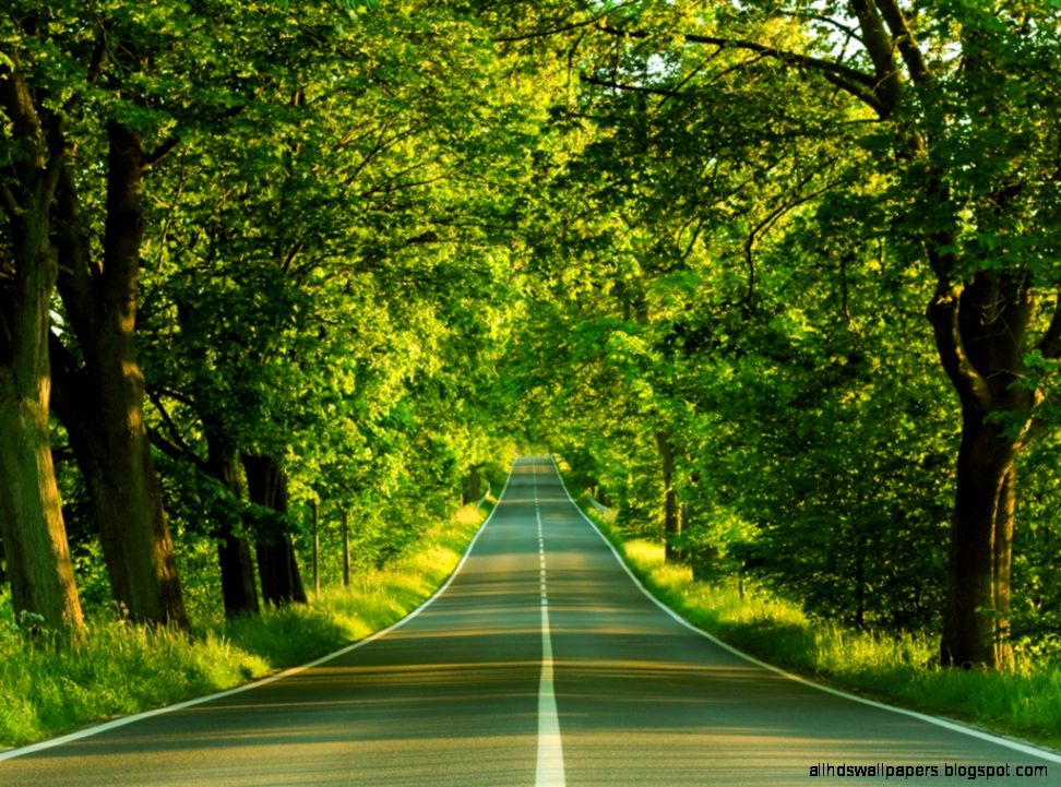 50 Widescreen HD Nature Wallpapers 50 Widescreen HD Nature Wallpapers