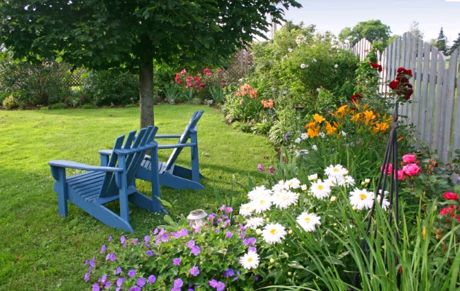 Flower garden, randomly sourced from the internet Flower garden, randomly sourced from the internet