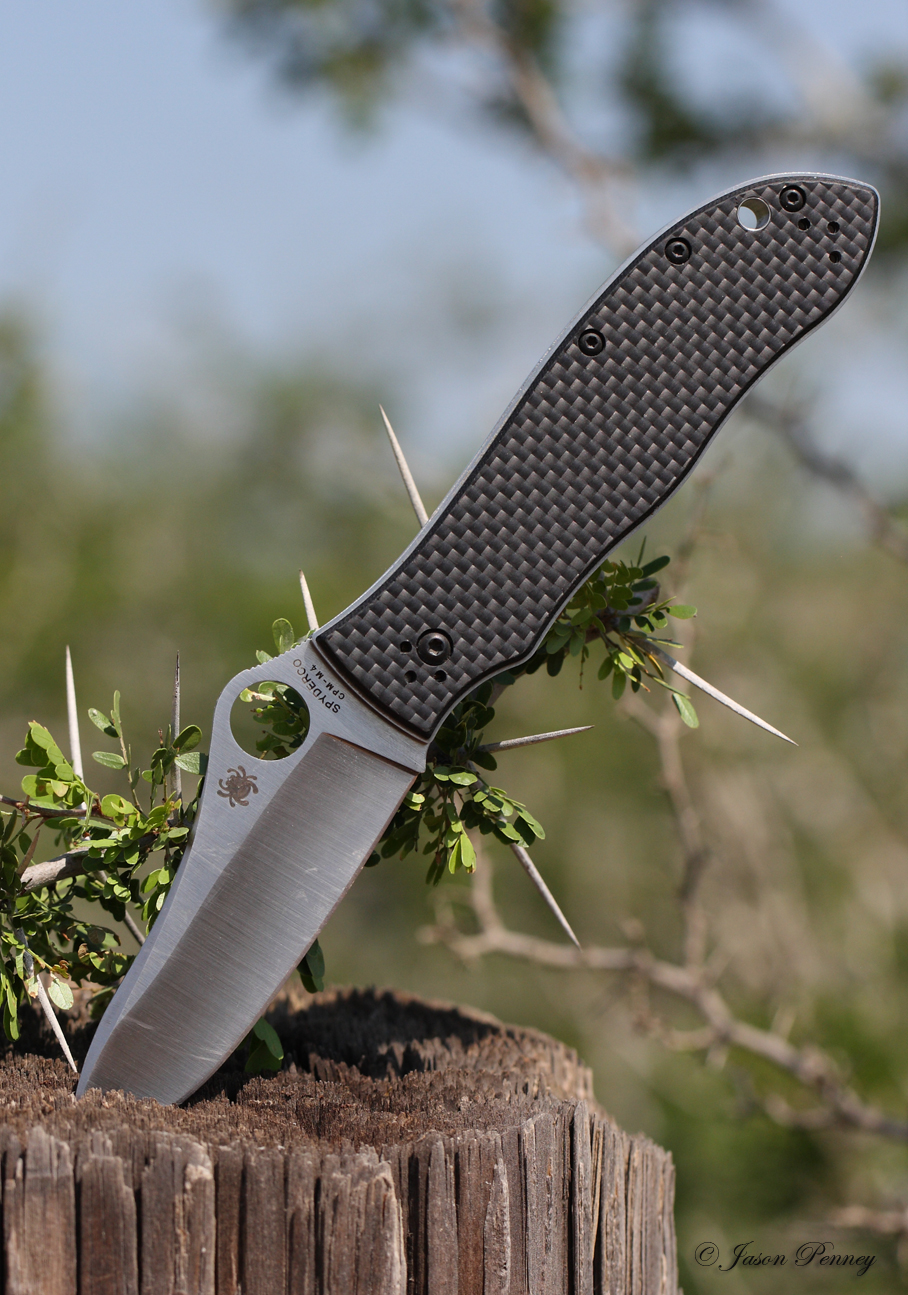 Review Spyderco Galye Bradley Review..