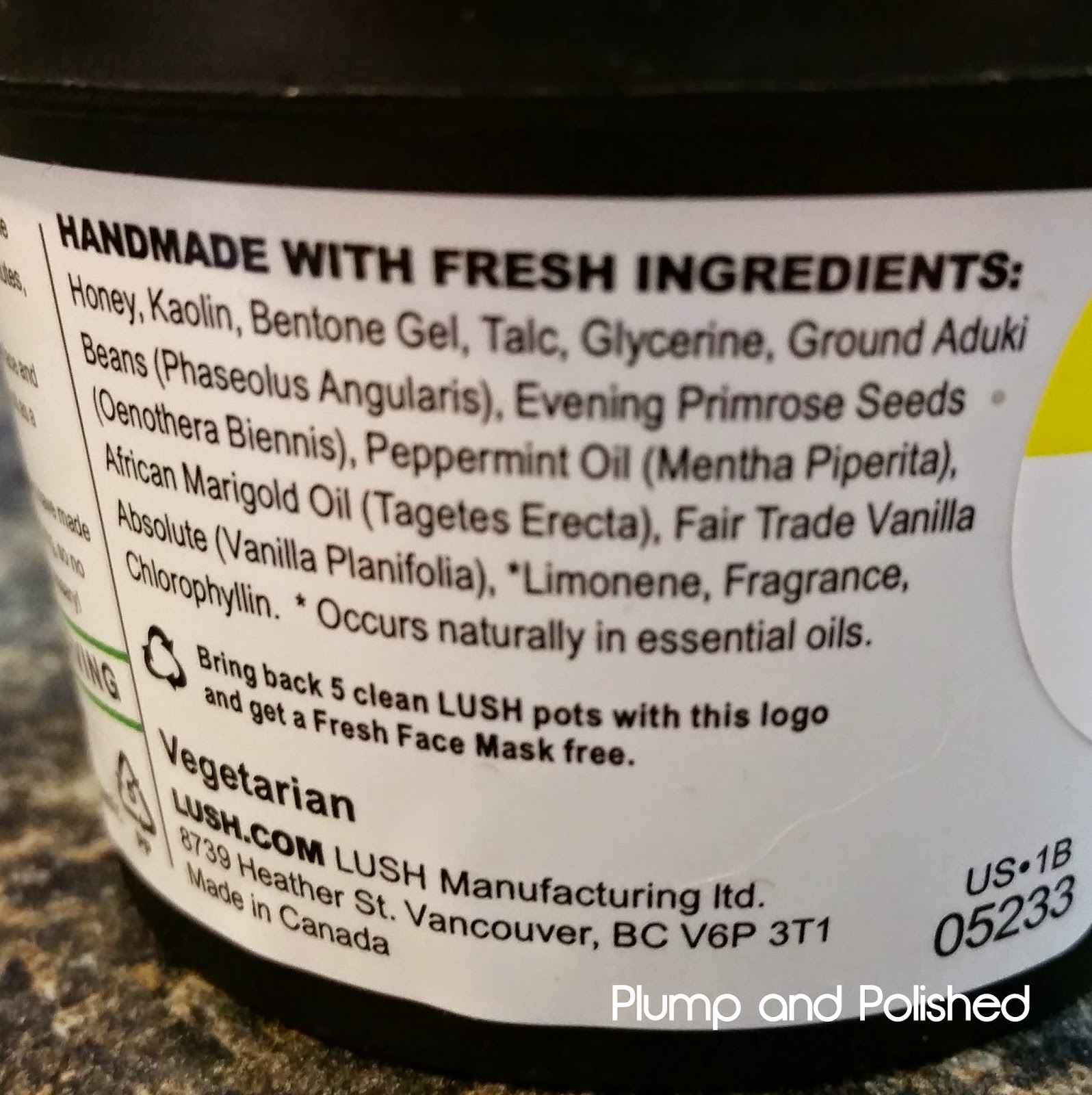 Plump and Polished Lush Cosmetics Self Preserving Mask of Magnaminty