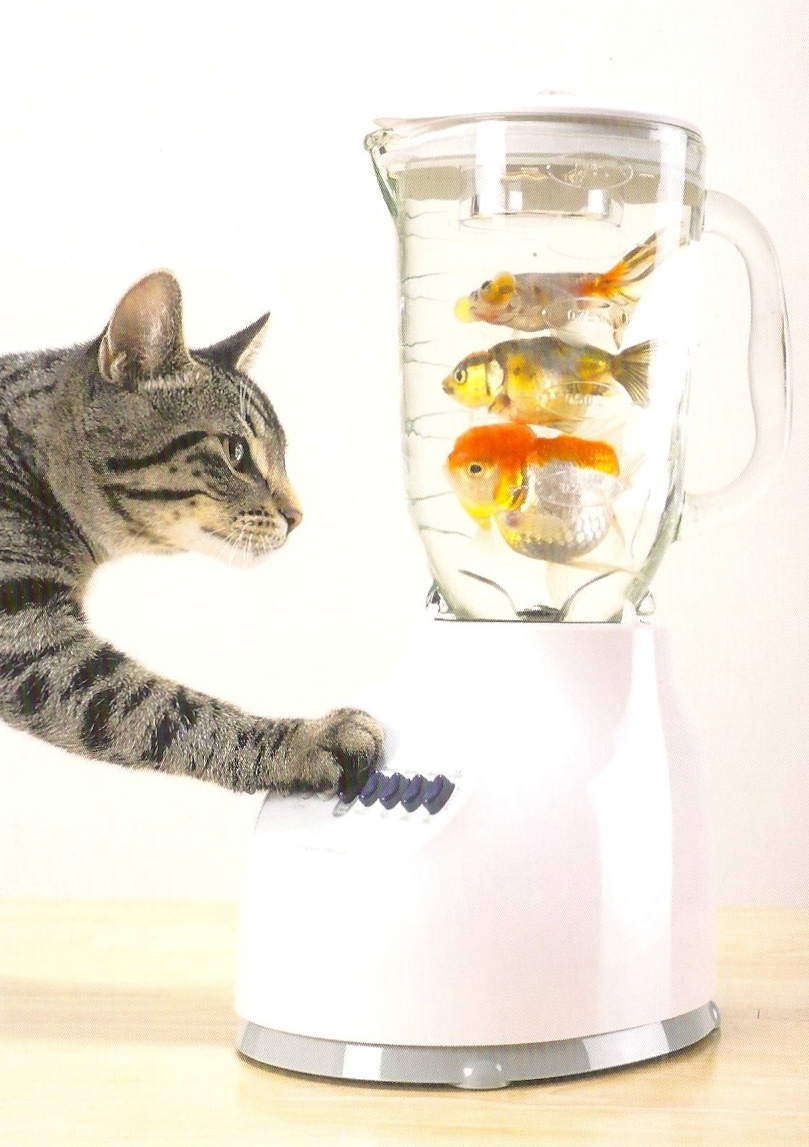 Blender Fish