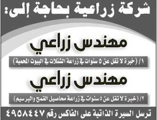 وظائف شاغرة من جريدة الرياض السعودية الاحد 6/1/2013  %D8%A7%D9%84%D8%B1%D9%8A%D8%A7%D8%B6+14