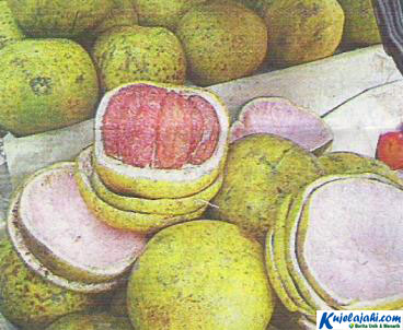 Buah yang Baik Untuk Penolak Penyakit Flu - Kujelajahi.com Buah yang Baik Untuk Penolak Penyakit Flu - Kujelajahi.com