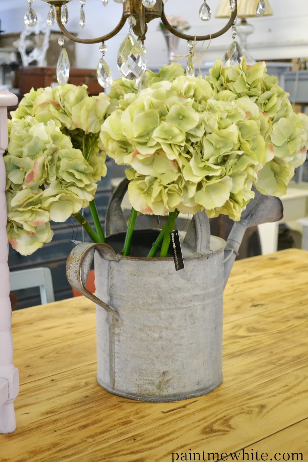 Chalk Paint™ Gold Coast Paint Me White