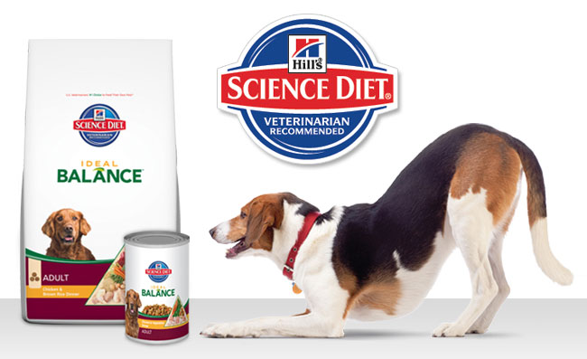 science diet ideal balance