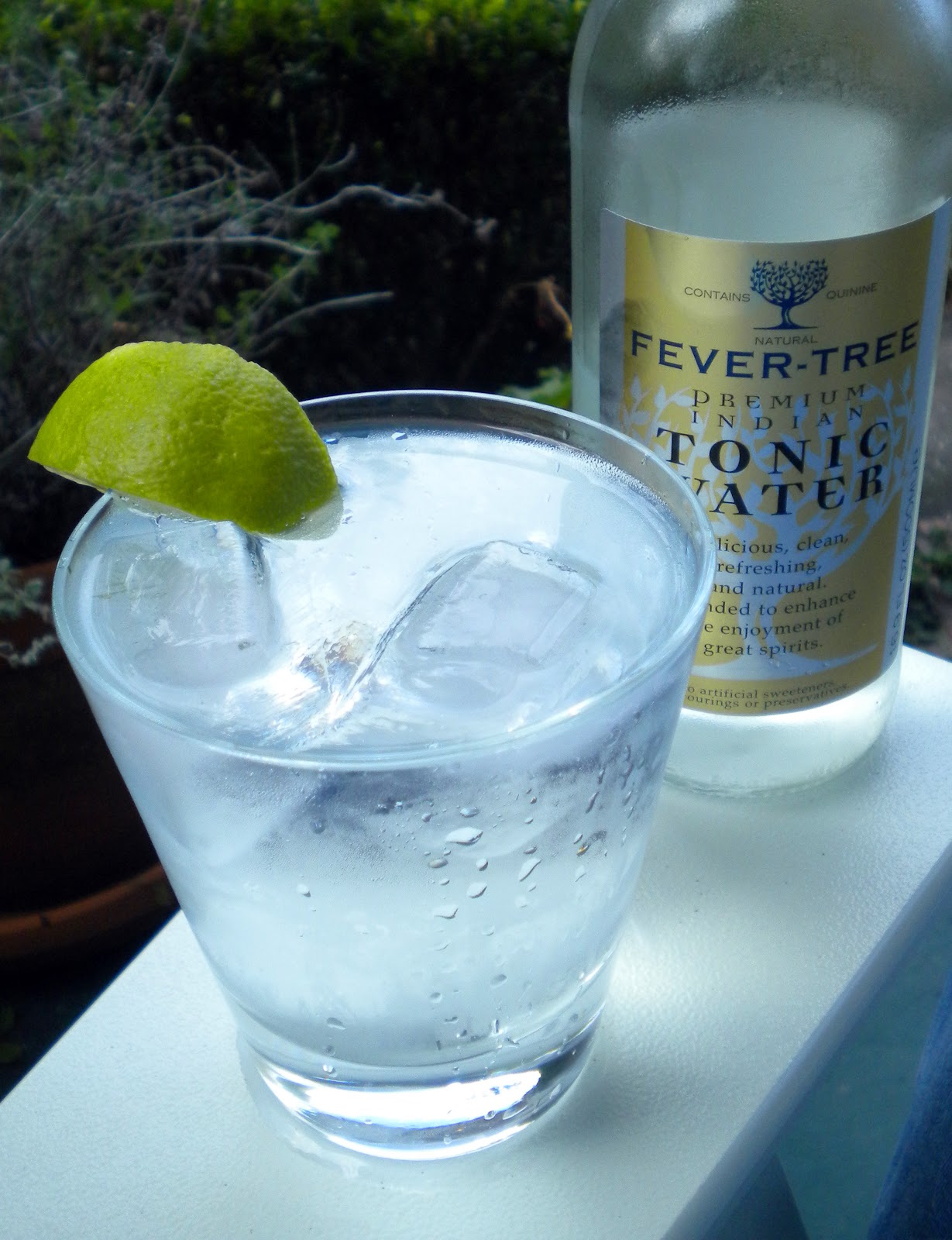 Gin & Tonic Cocktails in Charleston