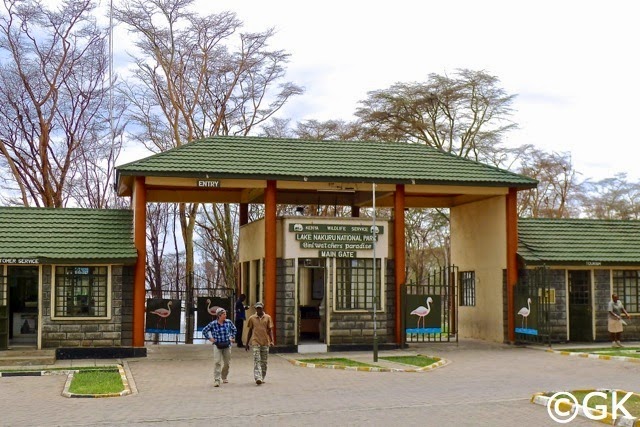 1. März 2014 Lake Nakuru NP