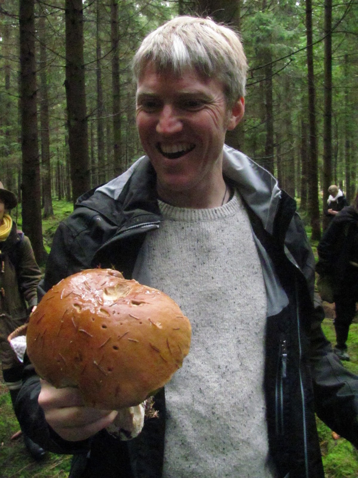 Jumble Tree Mushroom foraging in the Forest of Dean