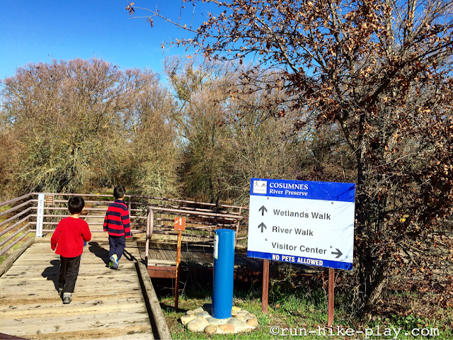 Cosumnes River Preserve