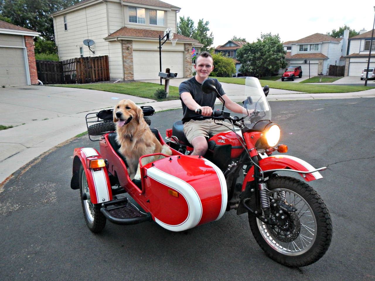 A Redleg's Rides Two dogs, a sidecar and a ride to Mount Evans for one of the dogs.