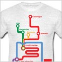 t-shirt digestive system