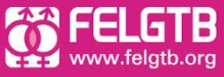 SOMOS forma parte de FELGTB