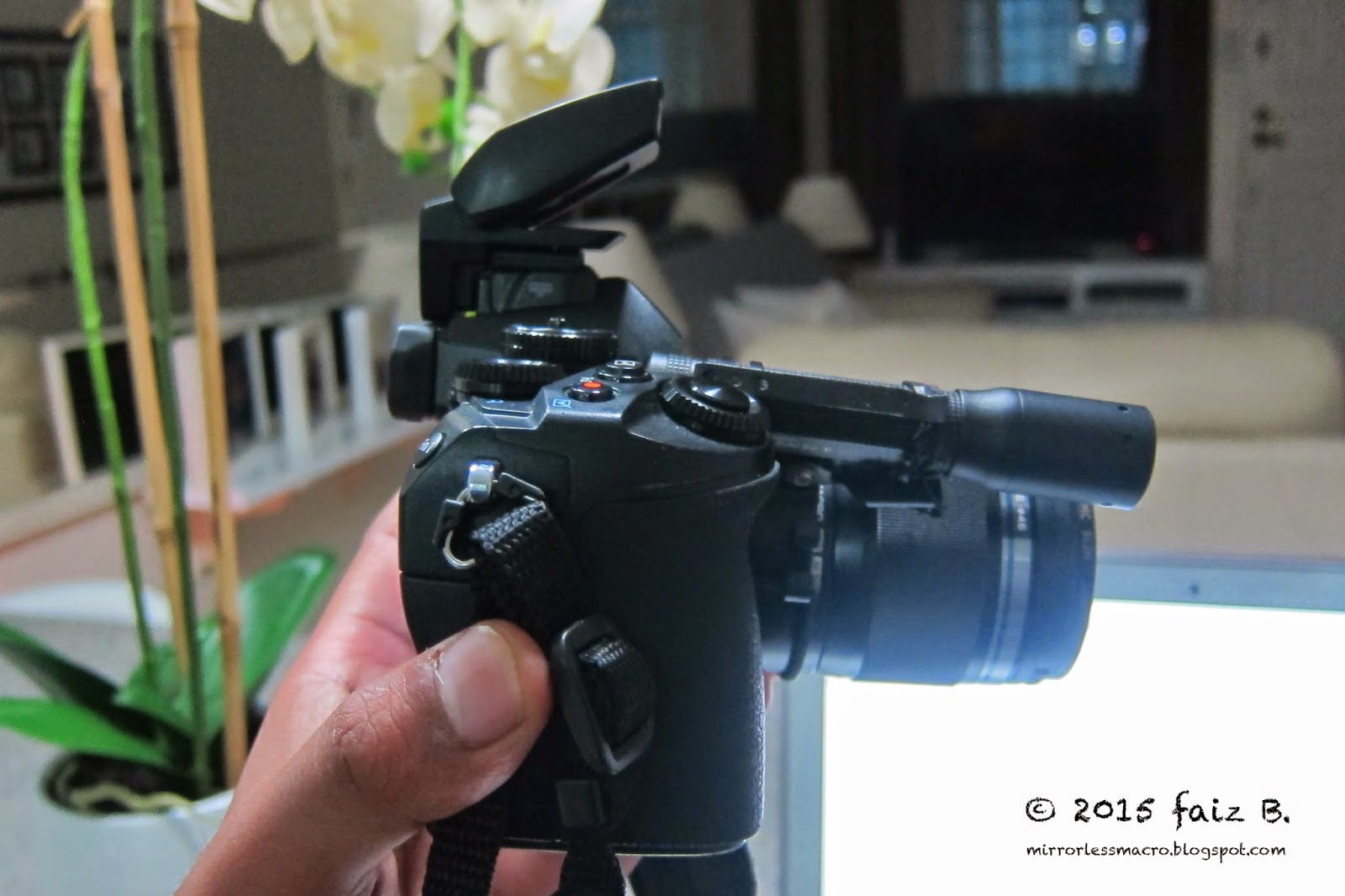 Mirrorless Macro Photography Macro Diffusion for the Mirrorless Camera