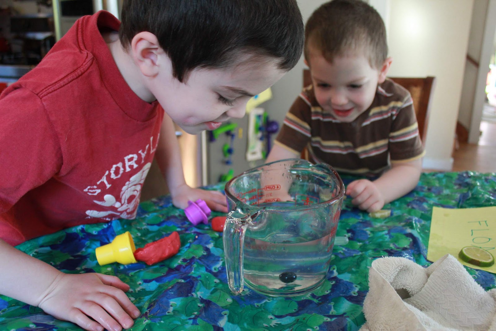 sink or float? momgineer