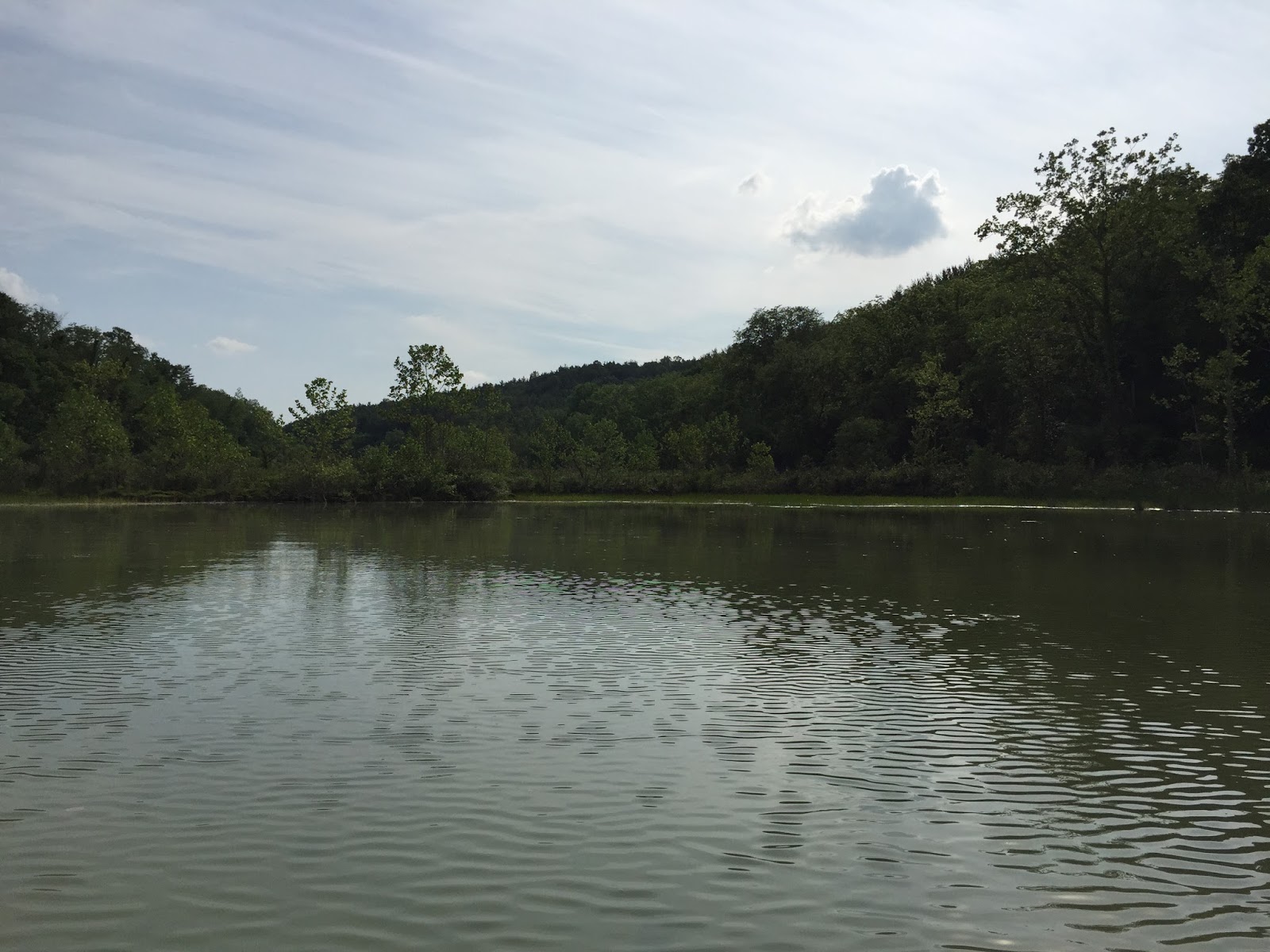 Kayaking Across Ohio Piedmont Lake Feels Like You Are Miles From