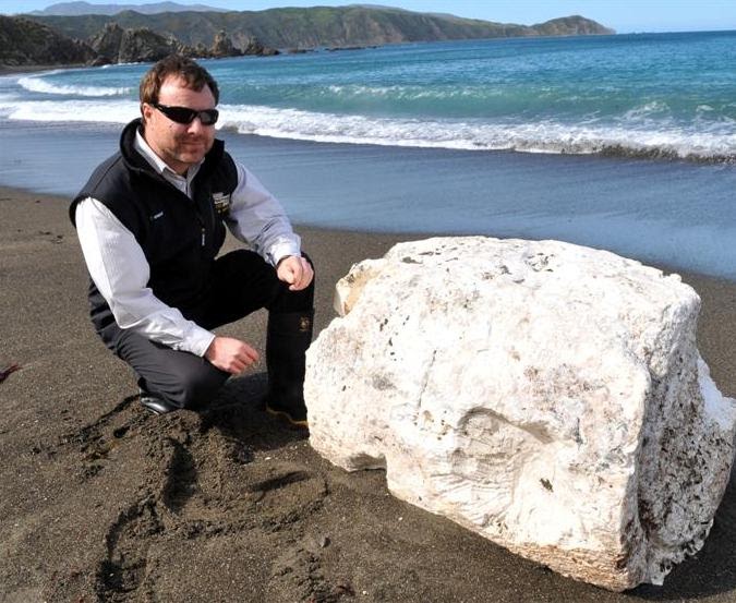 Folks, Listen! Whale Vomit