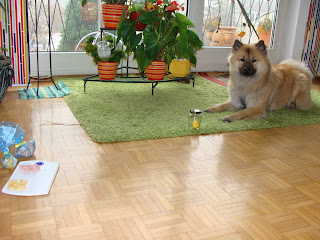 DSC08929.JPG