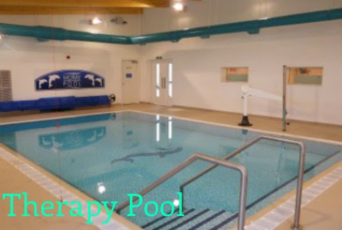Therapy pool
