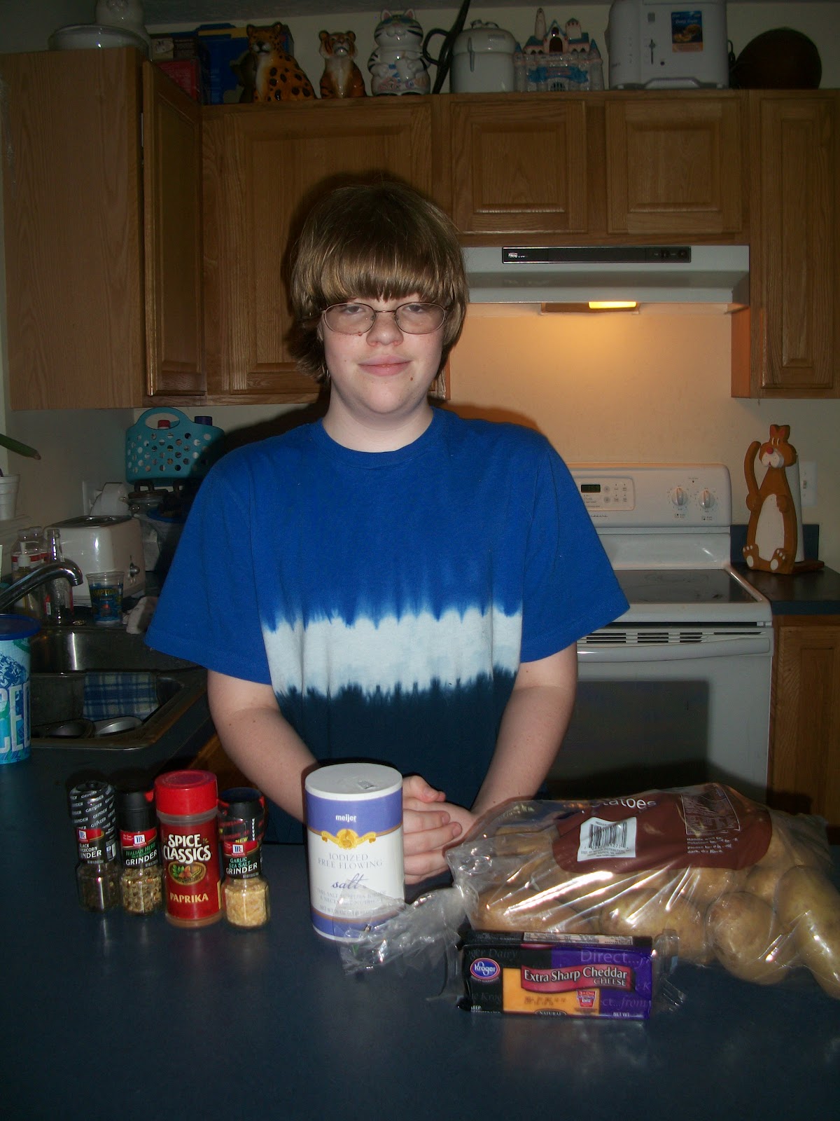 Pams Party & Practical Tips Cooking with KyleCheese Fries