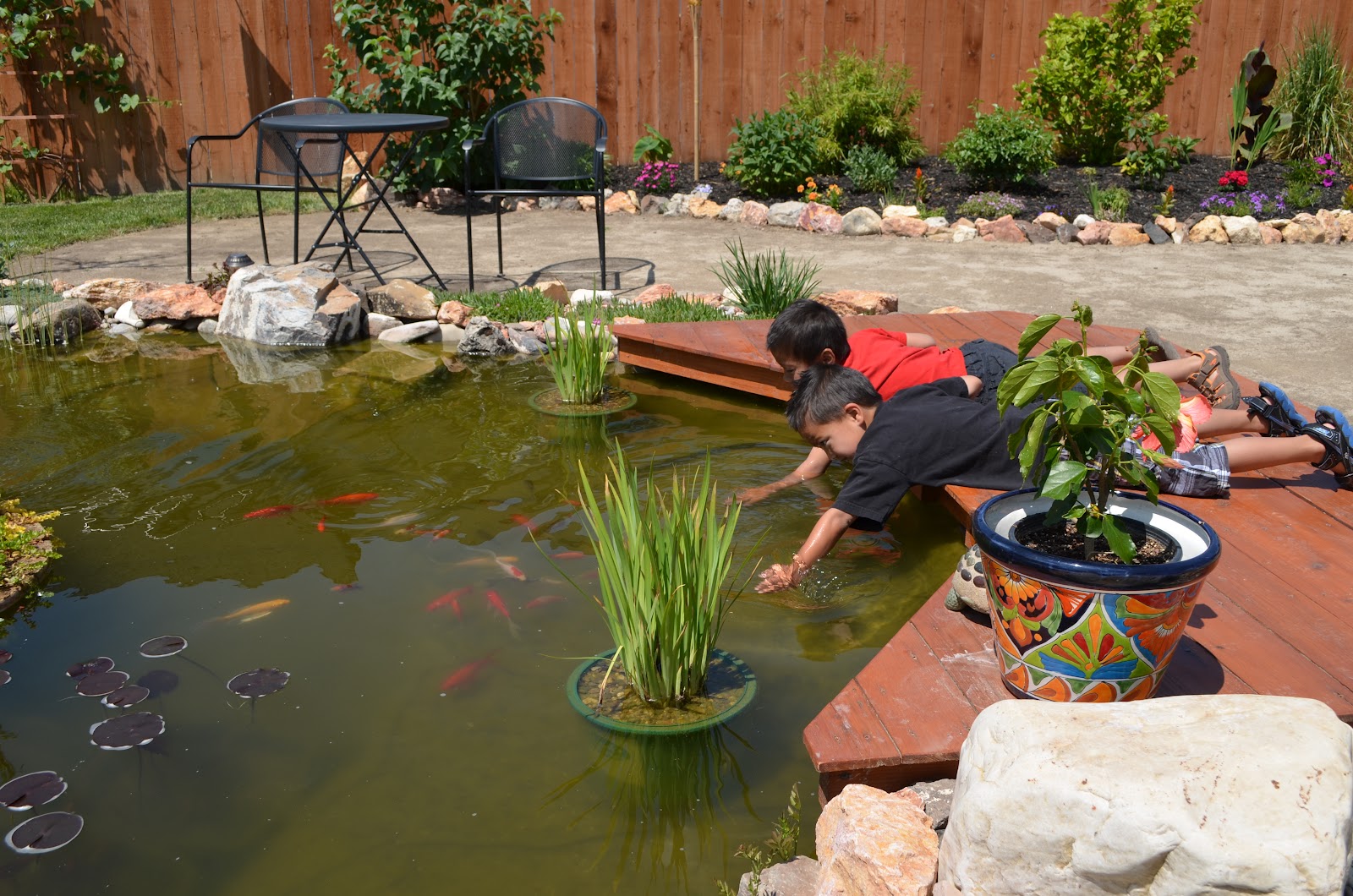Warner Family Adventures: Cowboy swimming pool