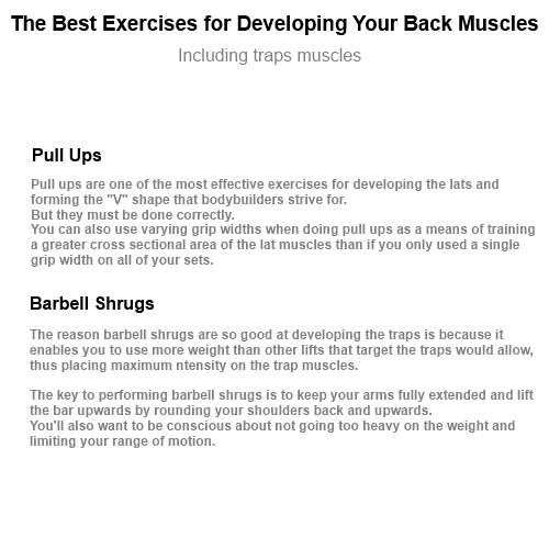 The Best Exercises for Developing Your Back Muscles Traps muscle