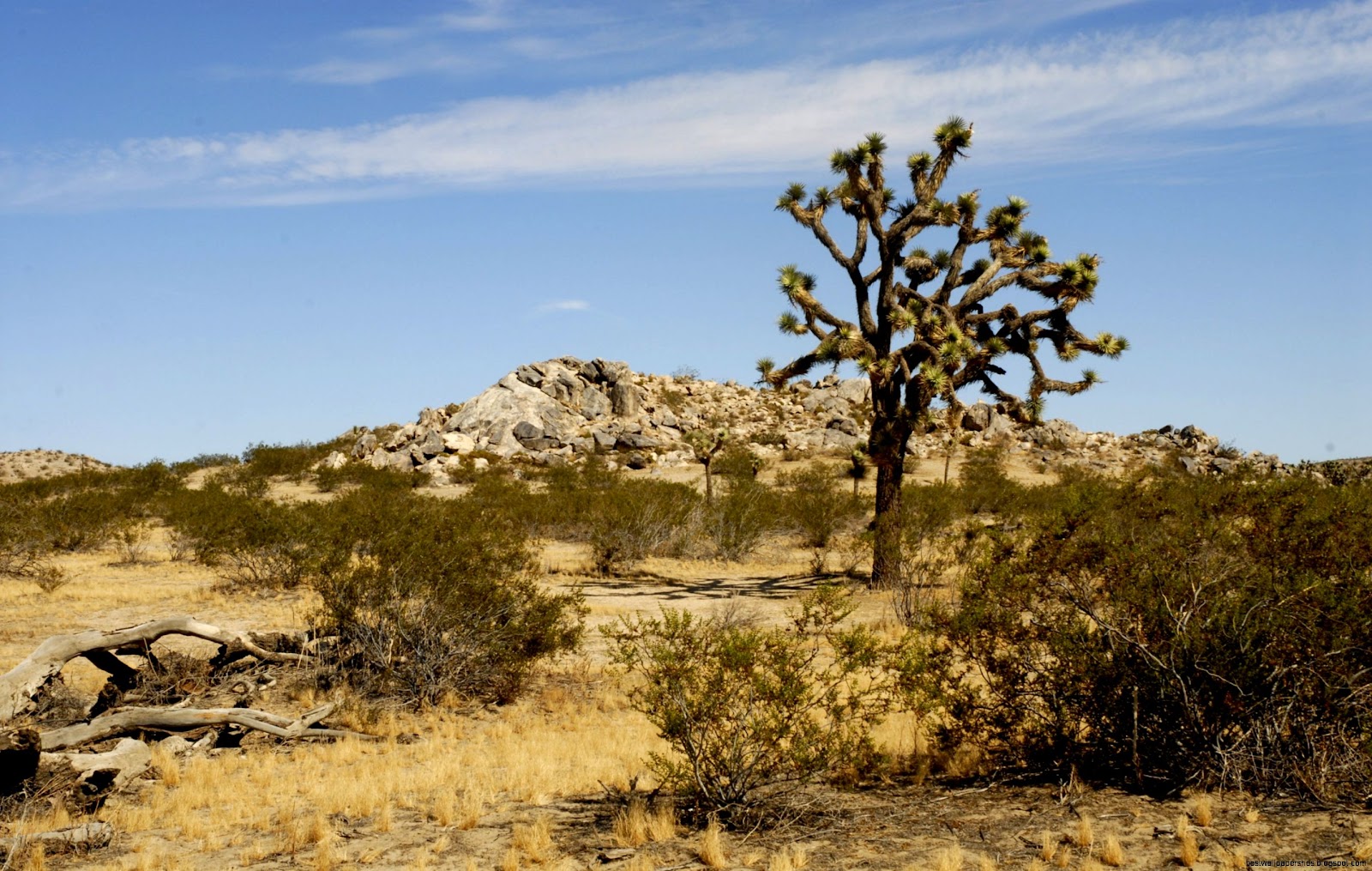 Lancaster California Desert Lancaster California Desert
