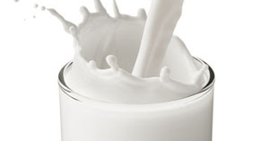 Le devoir de l�etudiant: Susu Sapi, Manfaat dan Kandungannya