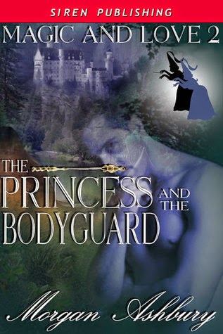 https://www.goodreads.com/book/show/3645709-the-princess-and-the-bodyguard?ac=1