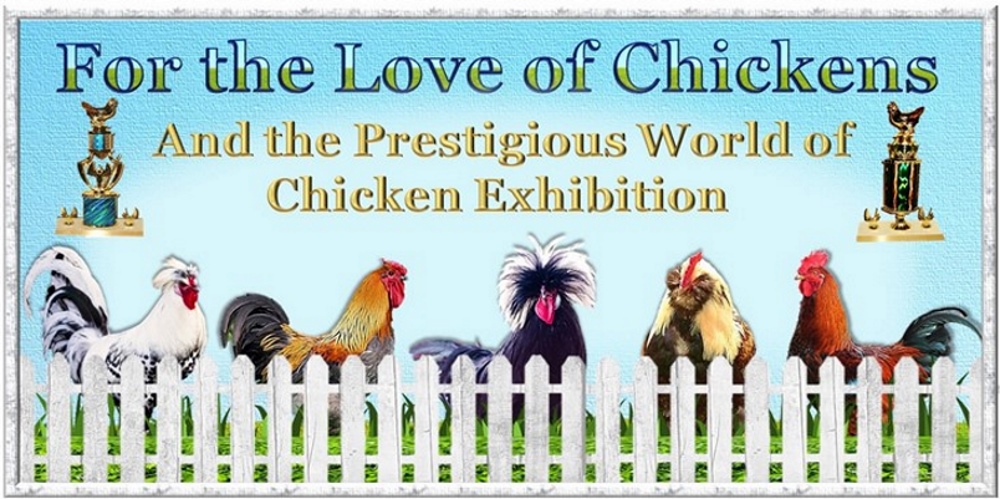 For the Love of Chickens