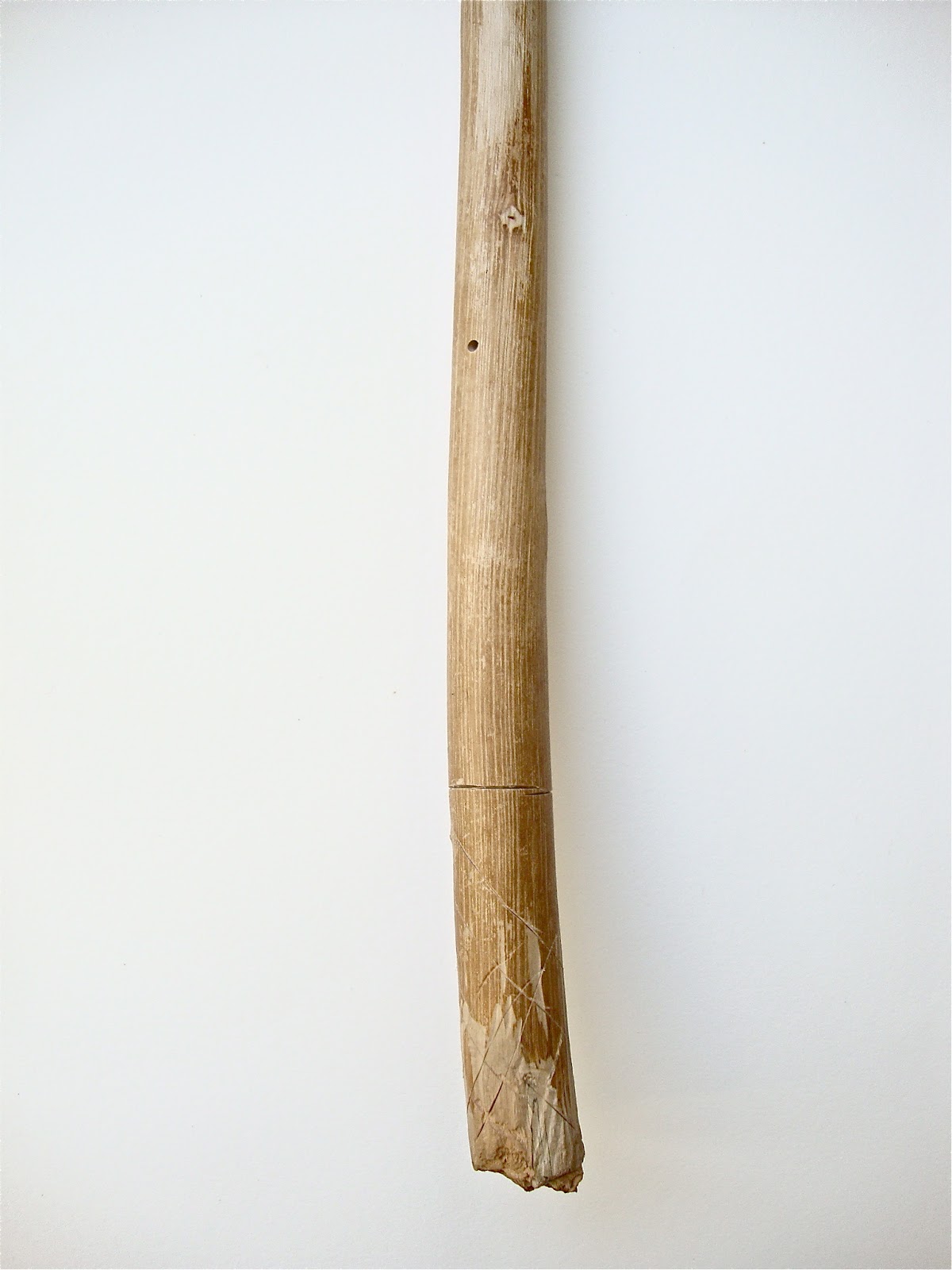 a year in charlie's pocket long stick