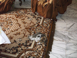 Carpet play time
