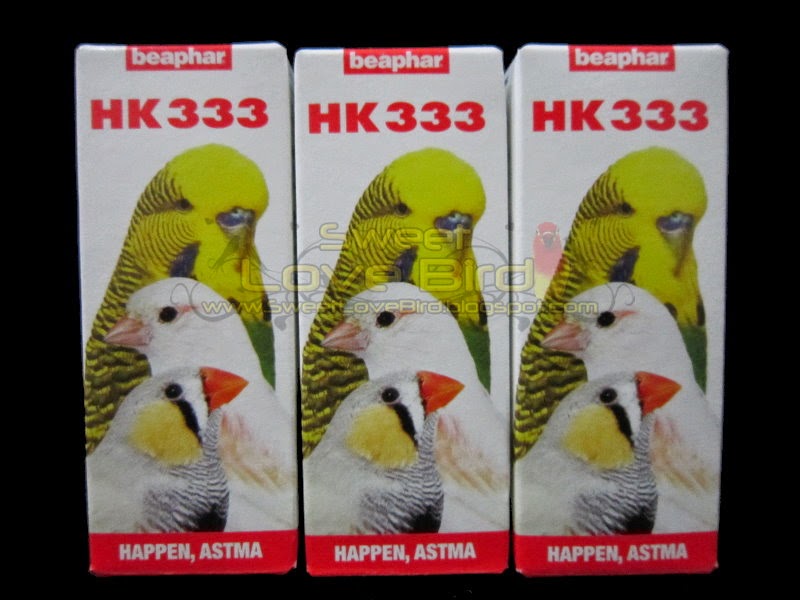 pic2.JPG