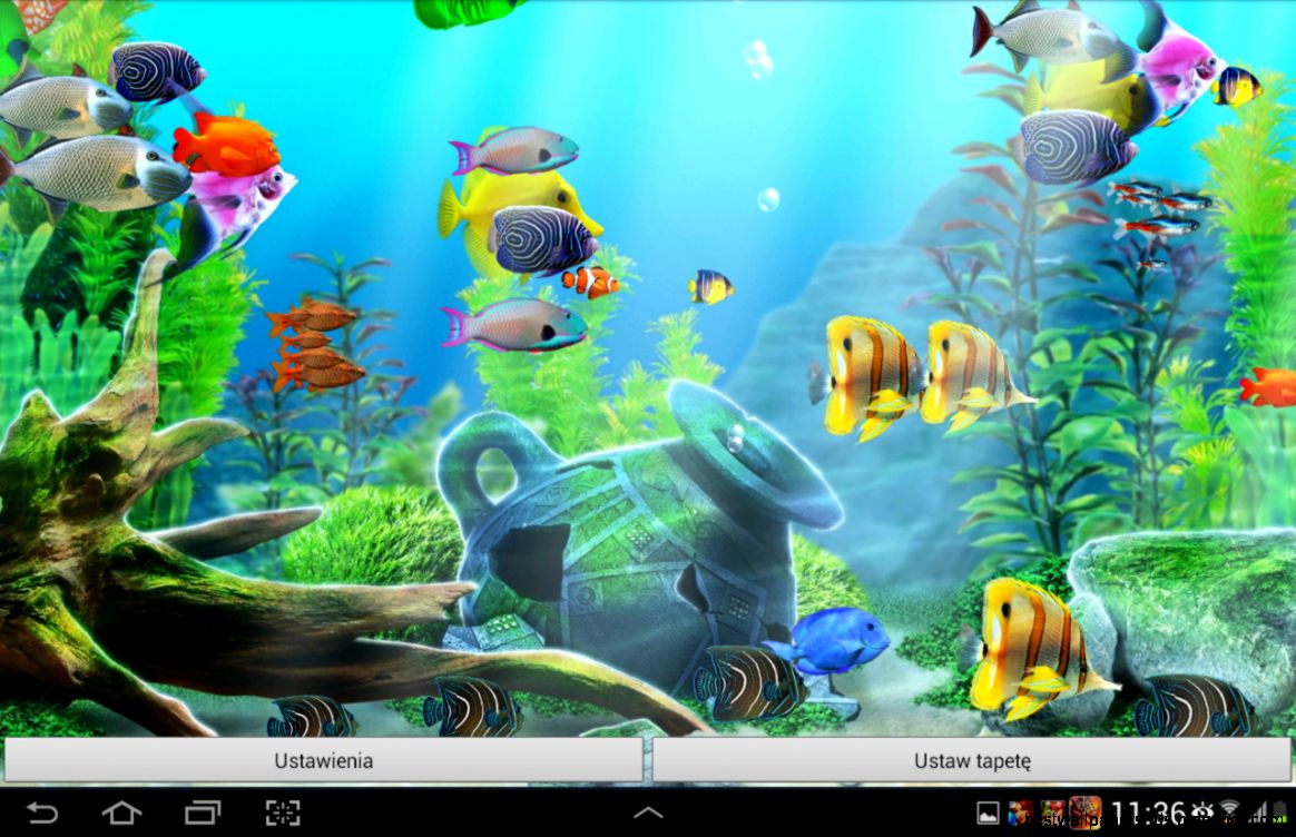 Aquarium Live Wallpaper HD Android Apps on Google Play Aquarium Live Wallpaper HD Android Apps on Google Play
