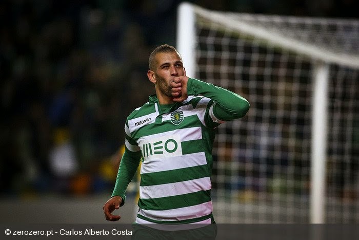 Sangue Leonino Novembro 2014