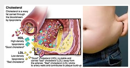 manfaat obat cefixime 200mg