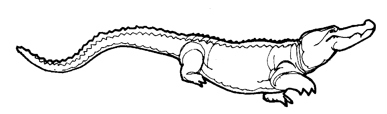 Menta Más Chocolate - RECURSOS y ACTIVIDADES PARA EDUCACIÓN INFANTIL