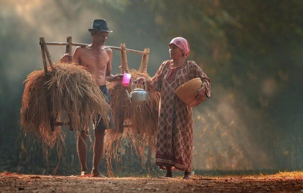 Жизнь в индонезийской деревне (10 фото)