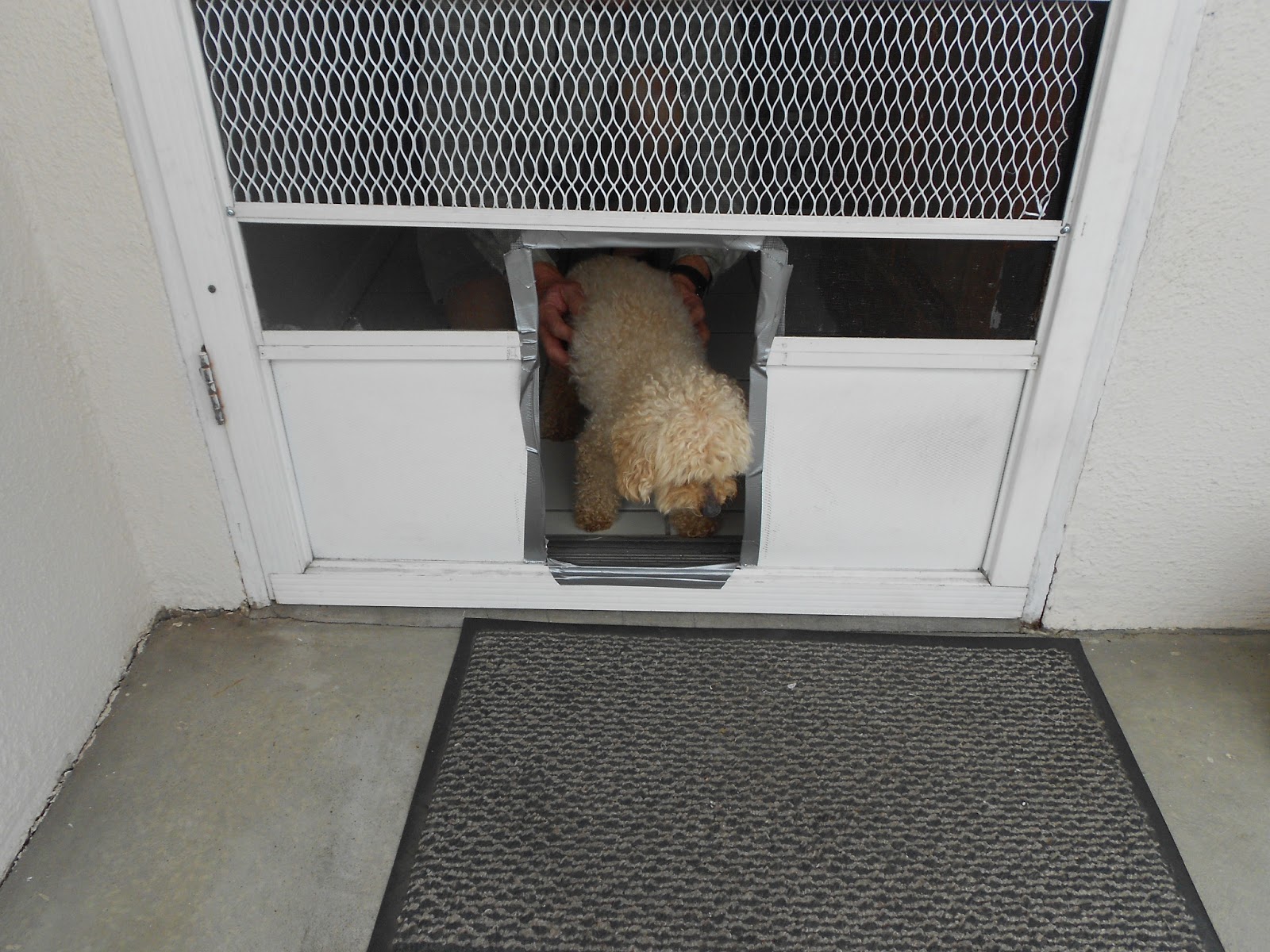 Jerry and Kay DIY Dog Door