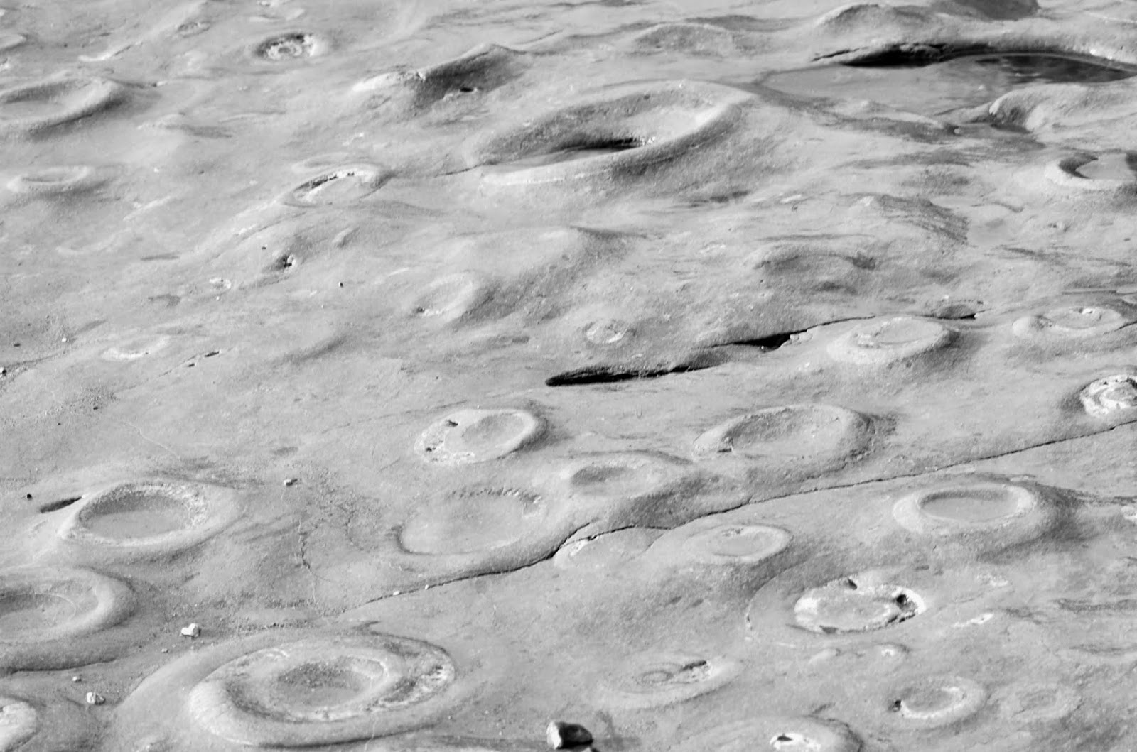 British Geology Lyme Regis Ammonite Pavement