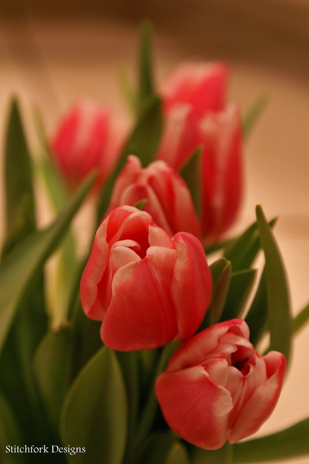 Stitchfork Designs tulip mania.....